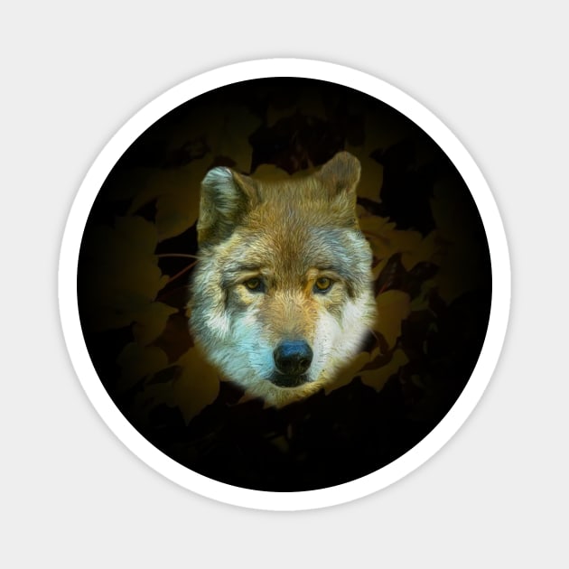 Wolf portrait Magnet by Guardi